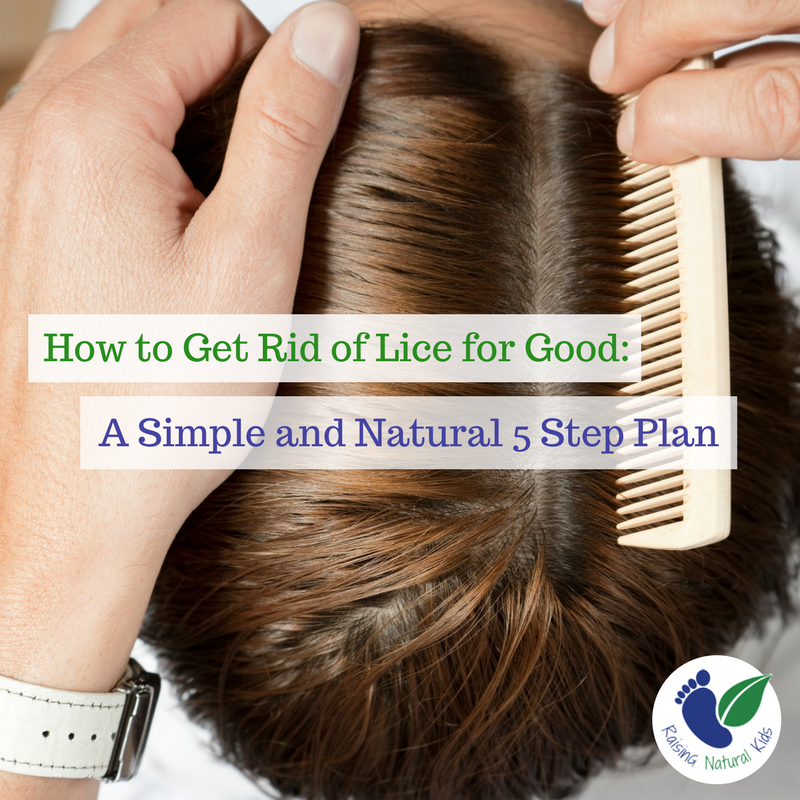 A 5 Step Plan For Natural Lice Treatment That Will Kill Lice For Good