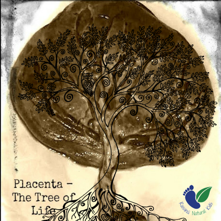 Why I Ate My Placenta (And Why Moms to Be May Consider It)